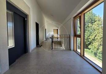 439333-Vorschaubild3