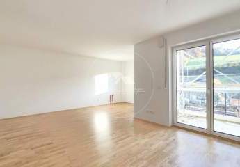 456139-Vorschaubild2