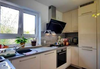 411297-Vorschaubild3