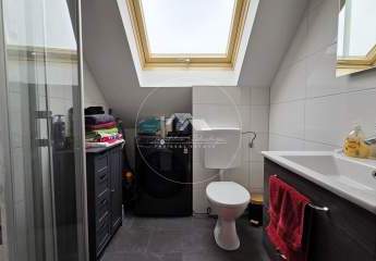 462652-Vorschaubild4