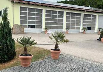 Gewerbeimmobilie mit Entwicklungspotenzial – Halle auf großem Grundstück