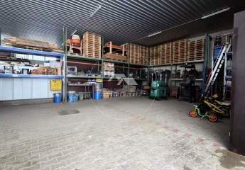 467093-Vorschaubild4