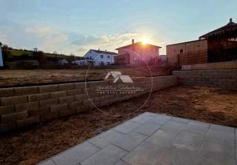 478950-Vorschaubild3