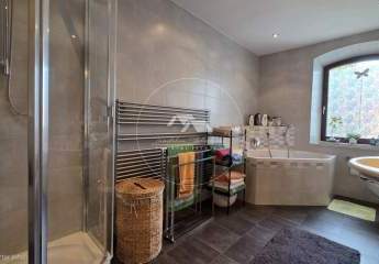 479555-Vorschaubild2