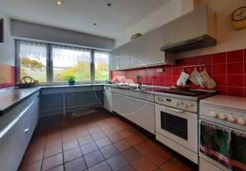 478693-Vorschaubild4