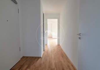 478950-Vorschaubild2