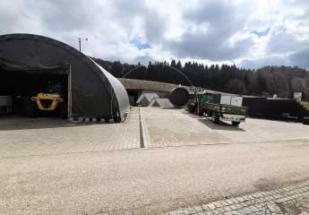 467093-Vorschaubild3