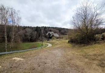 467093-Vorschaubild4