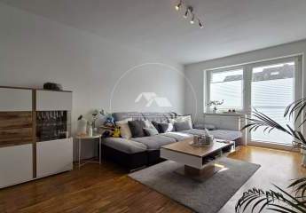 484543-Vorschaubild2