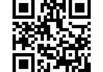 490808-Vorschaubild4