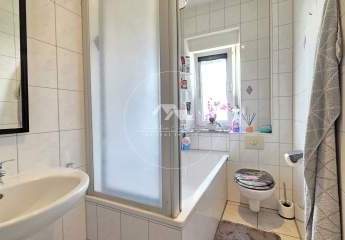 494017-Vorschaubild3