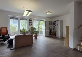 494079-Vorschaubild2