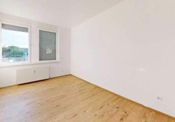 438487-Vorschaubild3