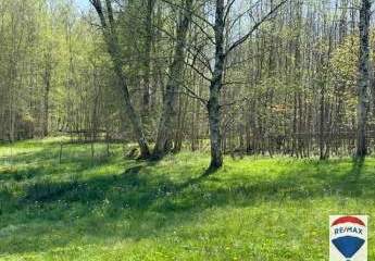 436545-Vorschaubild3