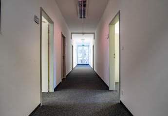 436547-Vorschaubild3