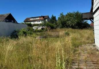 447998-Vorschaubild3