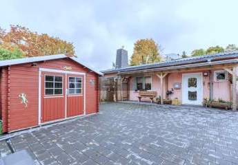 458764-Vorschaubild3