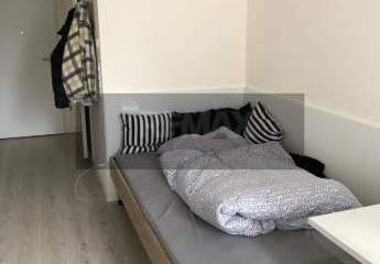 466906-Vorschaubild4