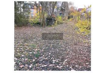 470739-Vorschaubild3