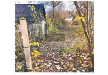 470739-Vorschaubild4