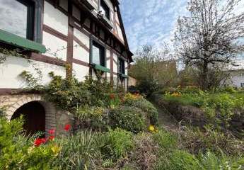 485461-Vorschaubild3