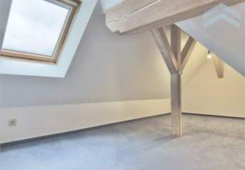 444702-Vorschaubild4