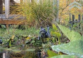 465628-Vorschaubild4