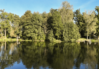 450494-Vorschaubild2