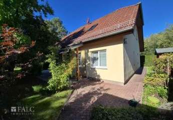 452865-Vorschaubild3