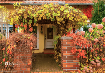 453411-Vorschaubild2