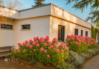 462328-Vorschaubild2