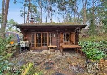 394266-Vorschaubild2