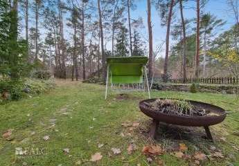 394266-Vorschaubild3