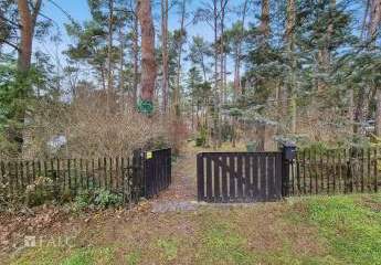 394266-Vorschaubild4