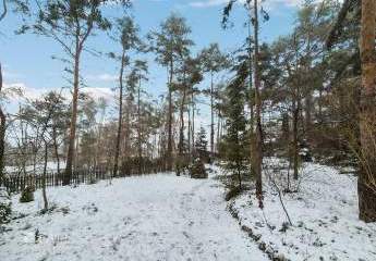 472150-Vorschaubild2