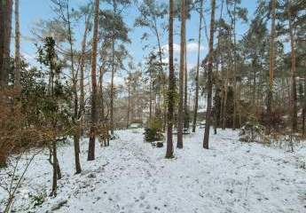 472150-Vorschaubild4