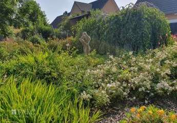 472529-Vorschaubild3