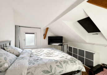 473473-Vorschaubild4