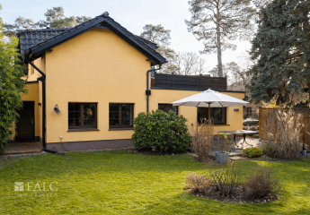 477779-Vorschaubild2