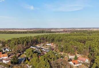 477779-Vorschaubild4