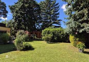 477779-Vorschaubild4