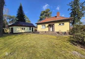 481804-Vorschaubild2