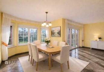 481914-Vorschaubild4