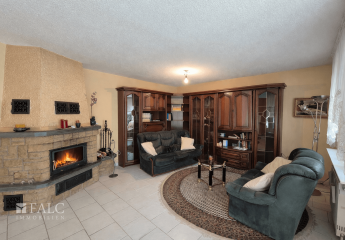 482049-Vorschaubild2