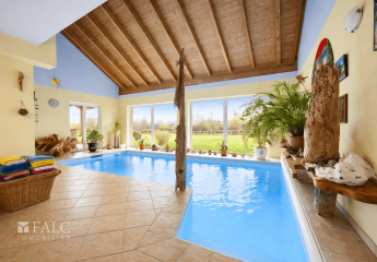 483591-Vorschaubild4