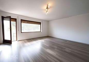 441205-Vorschaubild3