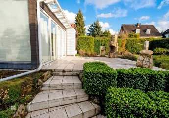 467510-Vorschaubild3