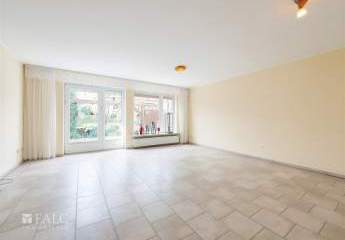 484748-Vorschaubild2