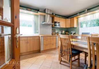 485876-Vorschaubild4