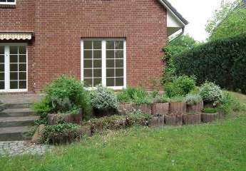 470174-Vorschaubild4